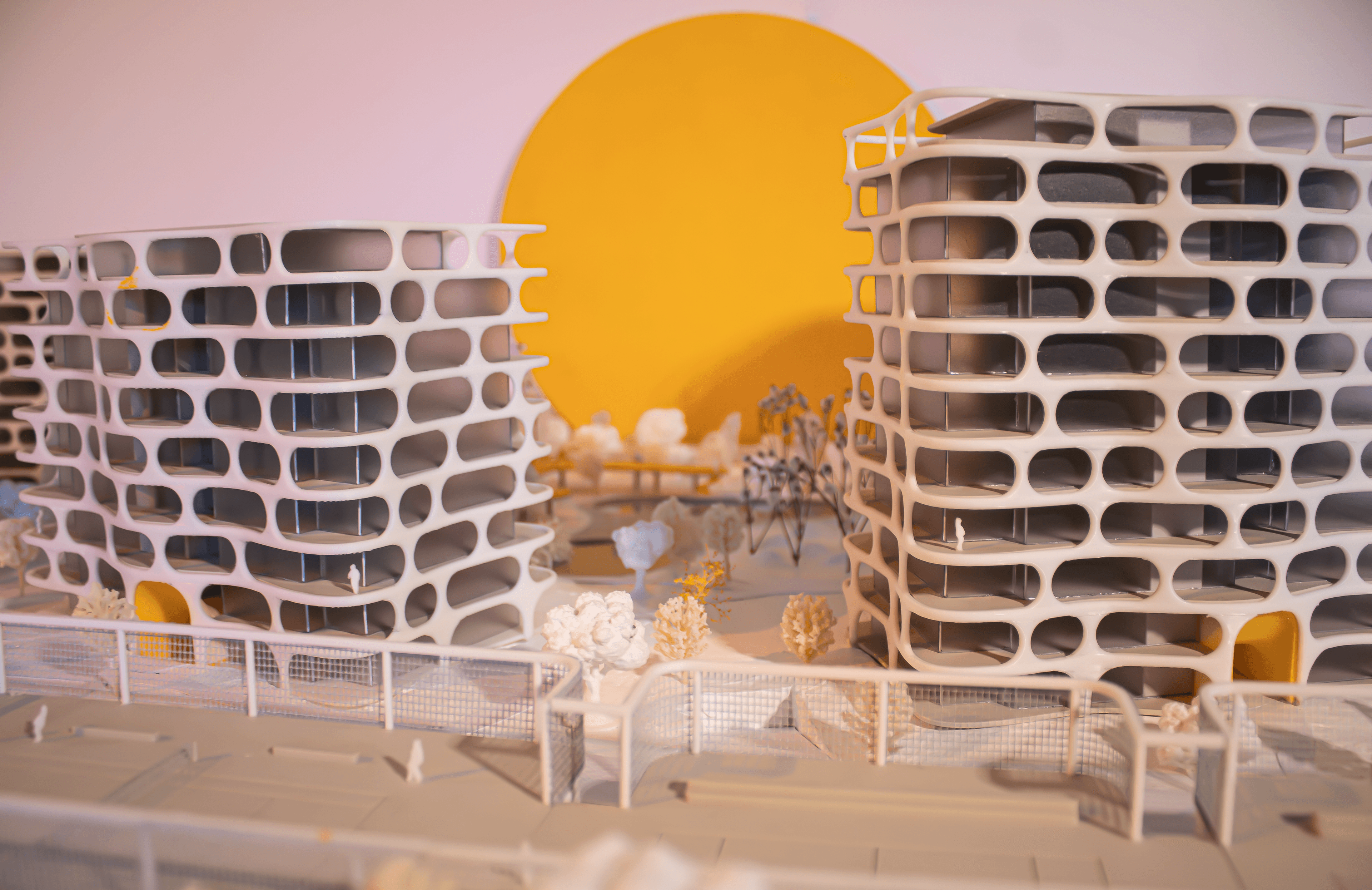 project image 21